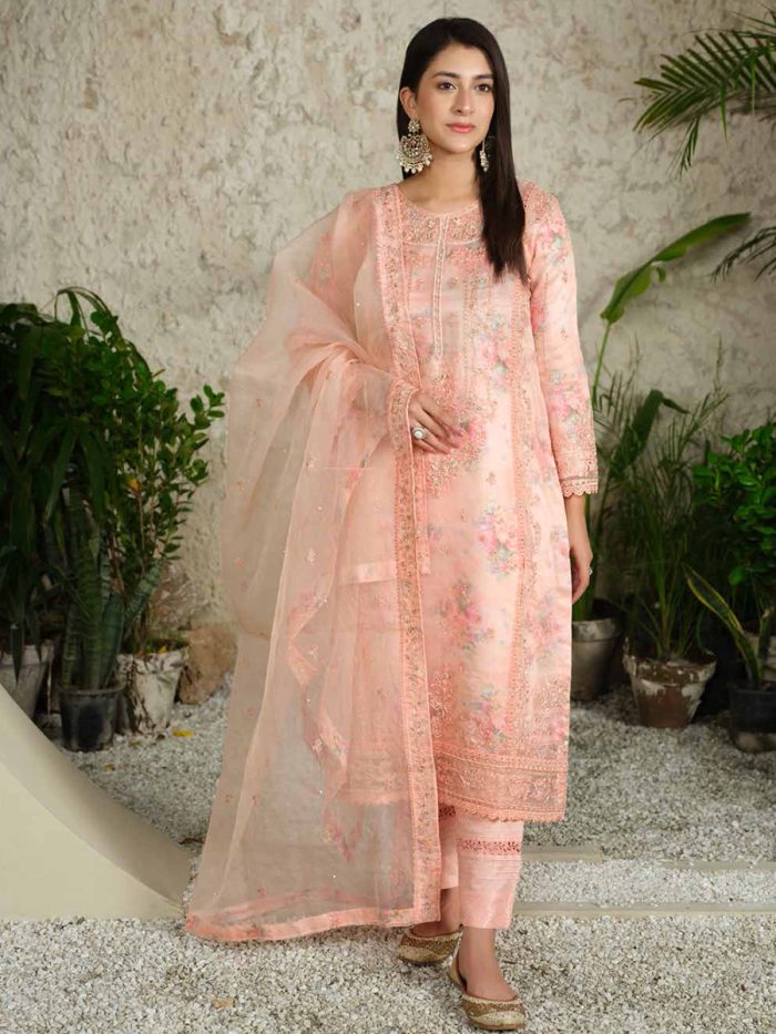 Pakistani Dress by Tanoor Lifestyle – Modest Fashion for Women