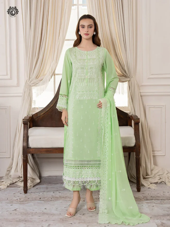 Pakistani Dress by Tanoor Lifestyle – Modest Fashion for Women