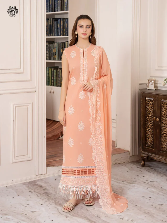 Pakistani Dress by Tanoor Lifestyle – Modest Fashion for Women