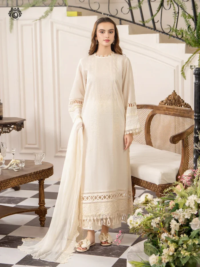 Pakistani Dress by Tanoor Lifestyle – Modest Fashion for Women