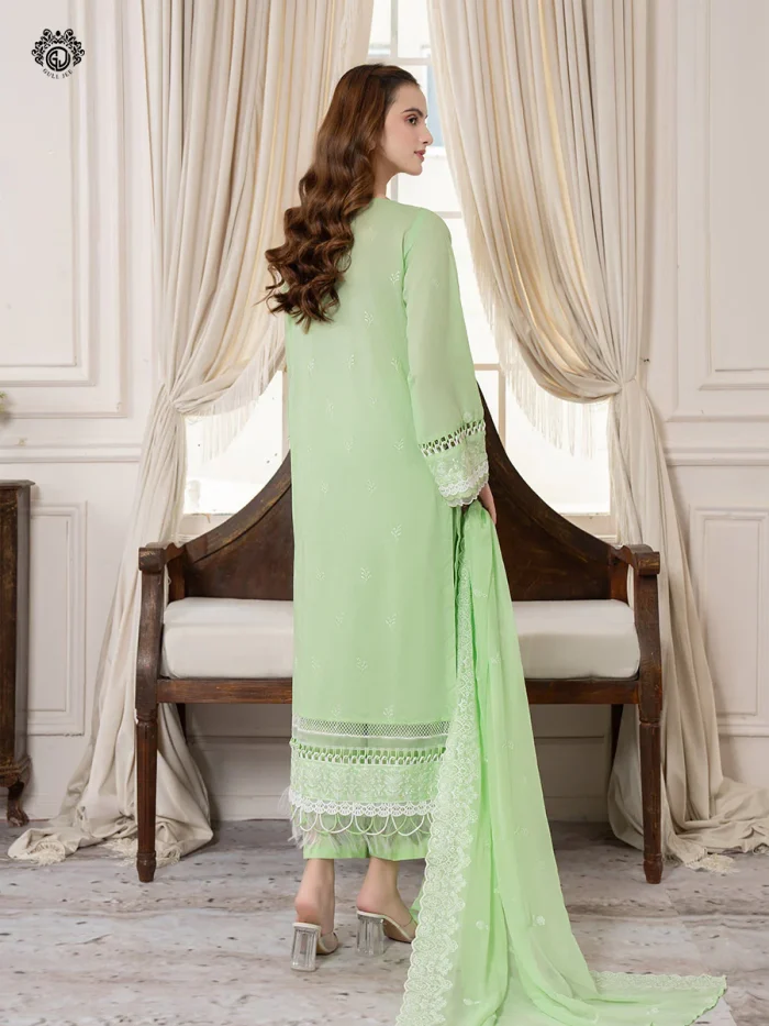 Pakistani Dress by Tanoor Lifestyle – Modest Fashion for Women