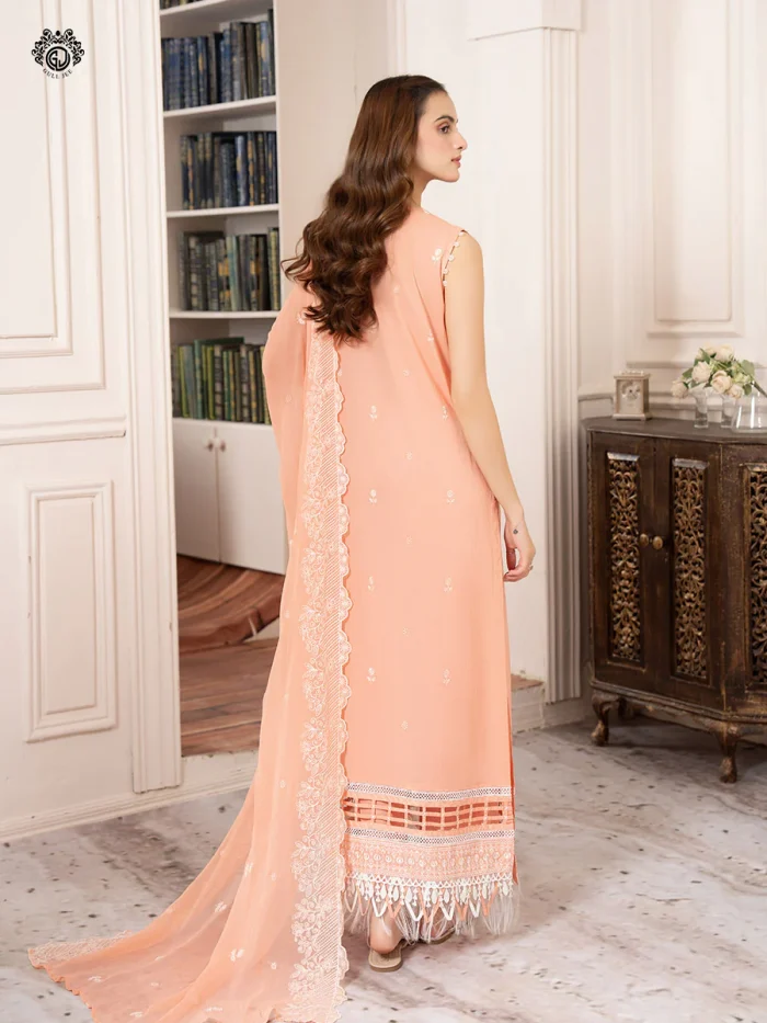 Pakistani Dress by Tanoor Lifestyle – Modest Fashion for Women