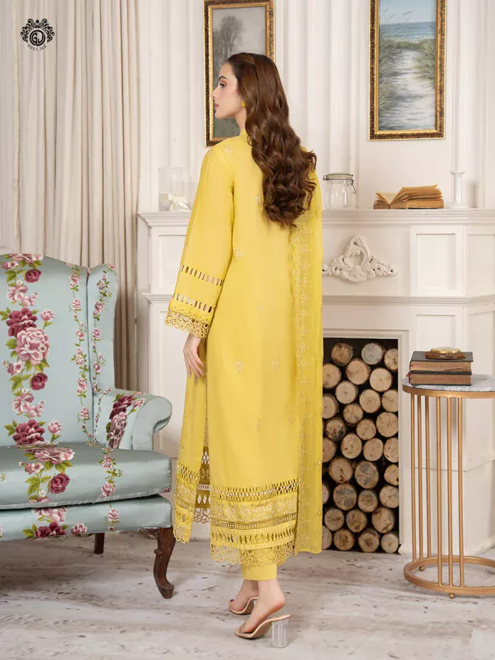 Pakistani Dress by Tanoor Lifestyle – Modest Fashion for Women