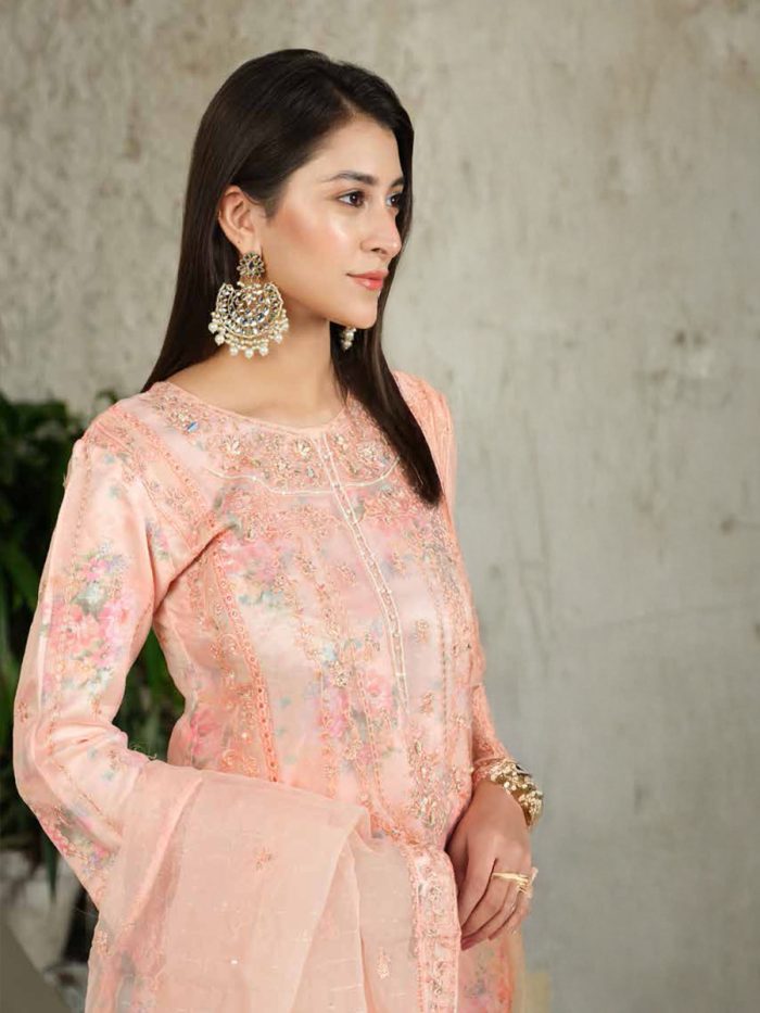 Pakistani Dress by Tanoor Lifestyle – Modest Fashion for Women