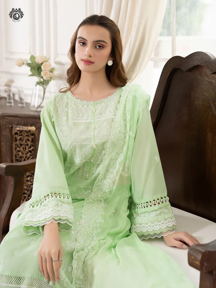 Pakistani Dress by Tanoor Lifestyle – Modest Fashion for Women