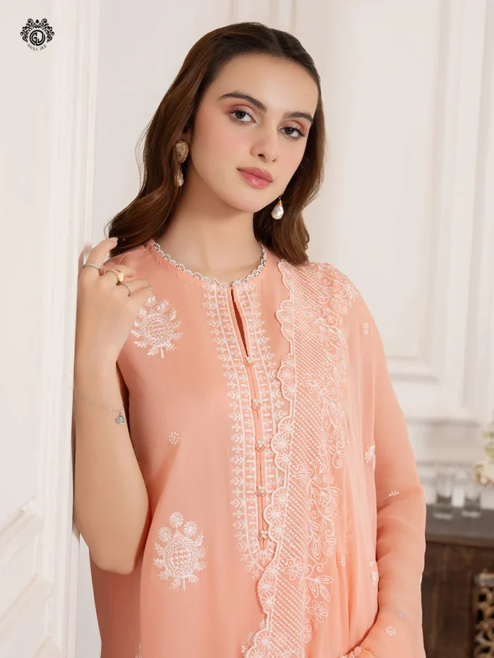 Pakistani Dress by Tanoor Lifestyle – Modest Fashion for Women