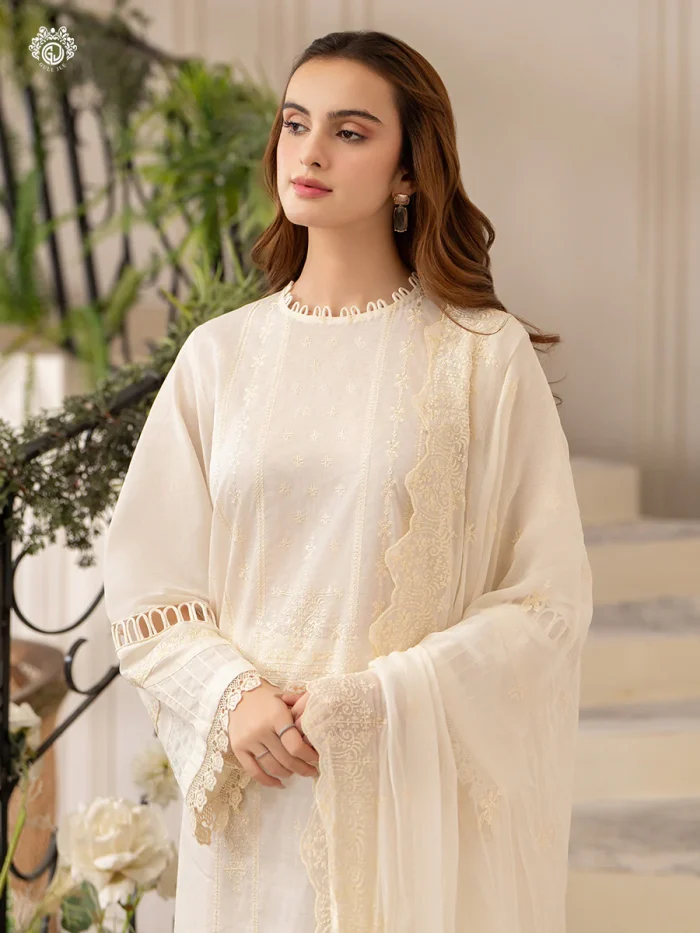 Pakistani Dress by Tanoor Lifestyle – Modest Fashion for Women