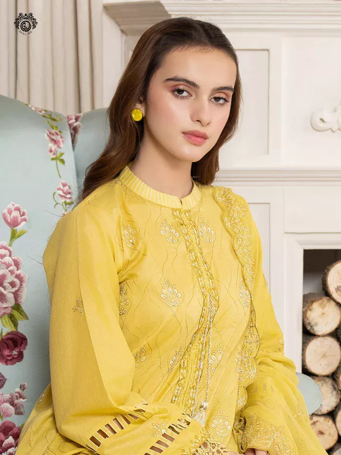 Pakistani Dress by Tanoor Lifestyle – Modest Fashion for Women