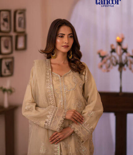 Pakistani Dress by Tanoor Lifestyle – Modest Fashion for Women