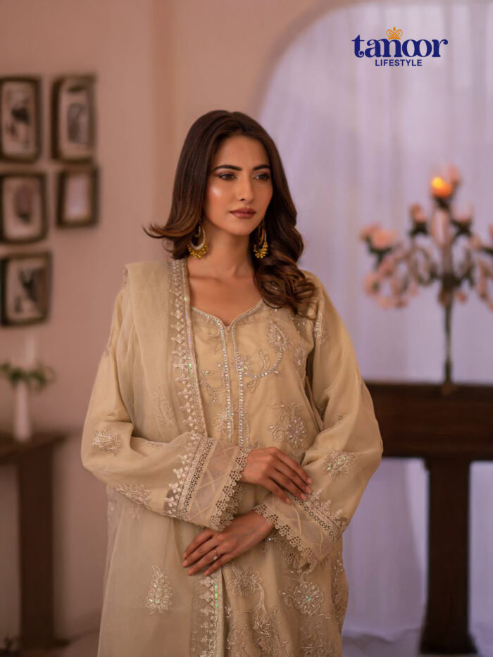 Pakistani Dress by Tanoor Lifestyle – Modest Fashion for Women