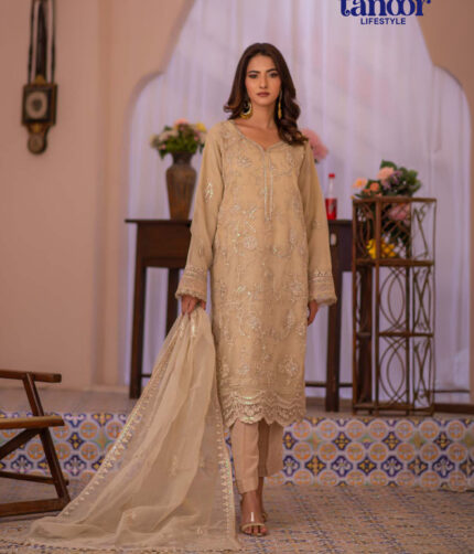 Pakistani Dress by Tanoor Lifestyle – Modest Fashion for Women
