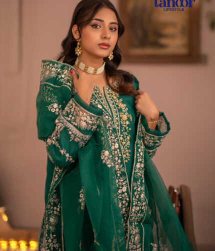 Pakistani Dress by Tanoor Lifestyle – Modest Fashion for Women