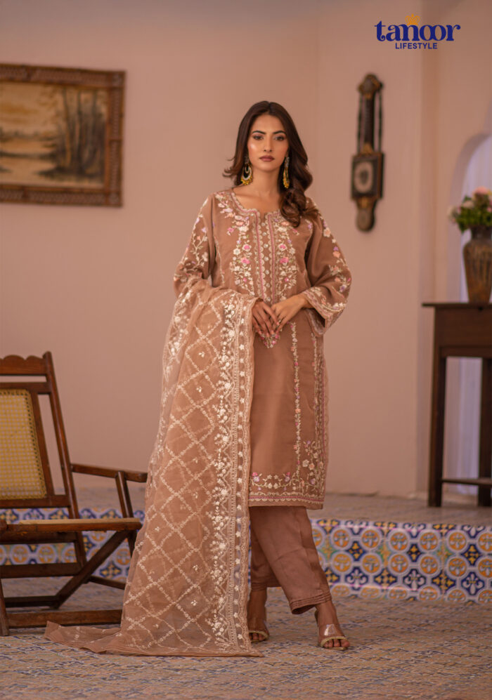 Pakistani Dress by Tanoor Lifestyle – Modest Fashion for Women