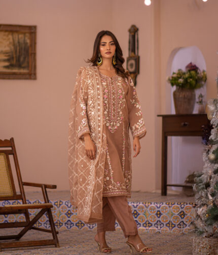 Pakistani Dress by Tanoor Lifestyle – Modest Fashion for Women