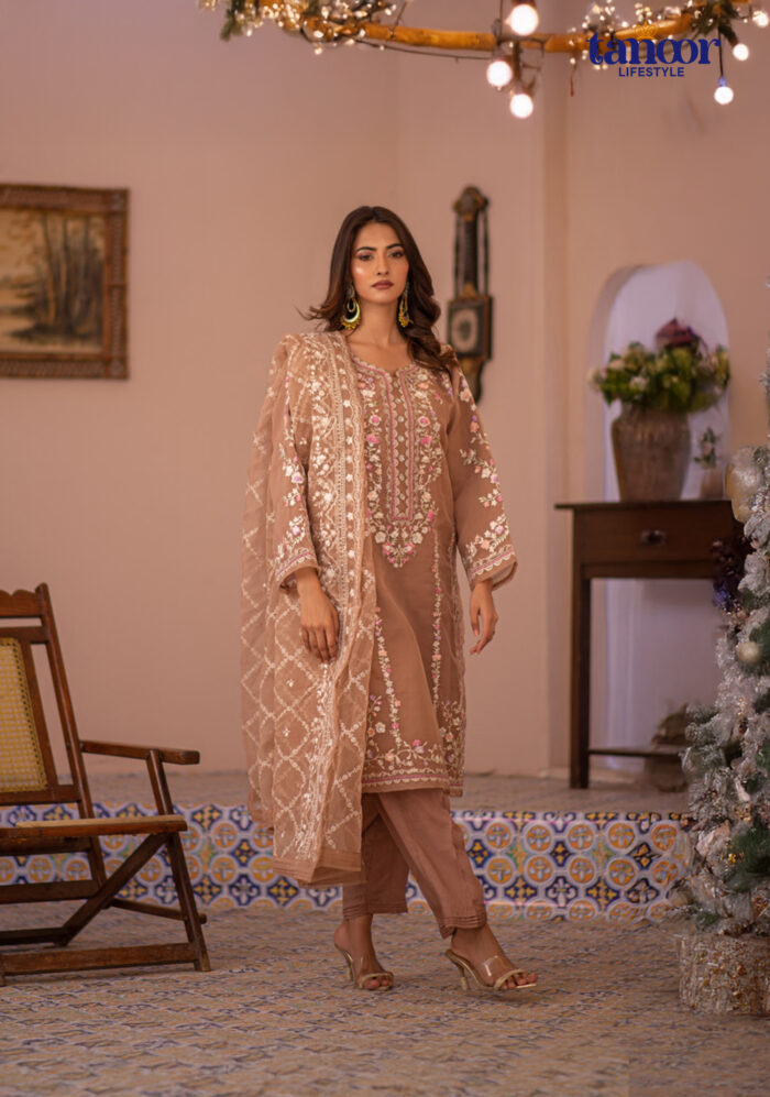 Pakistani Dress by Tanoor Lifestyle – Modest Fashion for Women