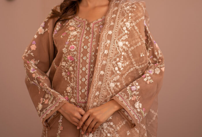 Pakistani Dress by Tanoor Lifestyle – Modest Fashion for Women