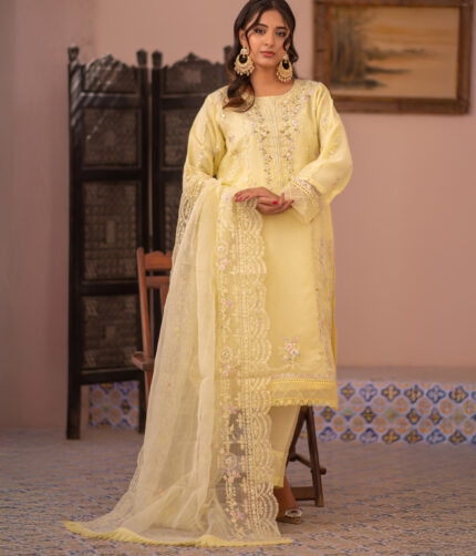 Pakistani Dress by Tanoor Lifestyle – Modest Fashion for Women