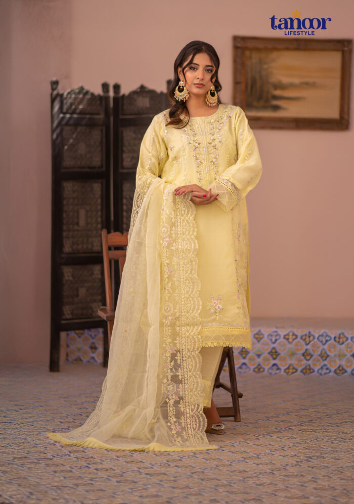 Pakistani Dress by Tanoor Lifestyle – Modest Fashion for Women