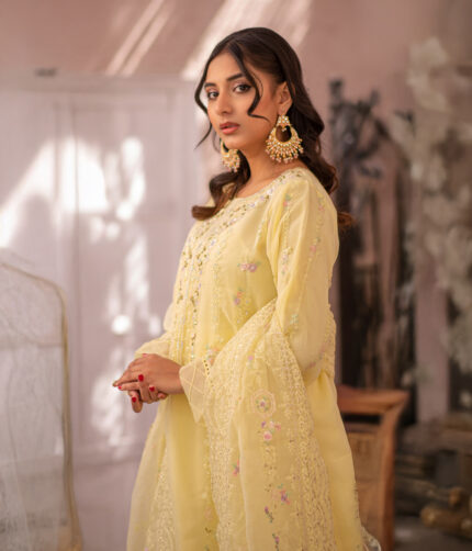 Pakistani Dress by Tanoor Lifestyle – Modest Fashion for Women