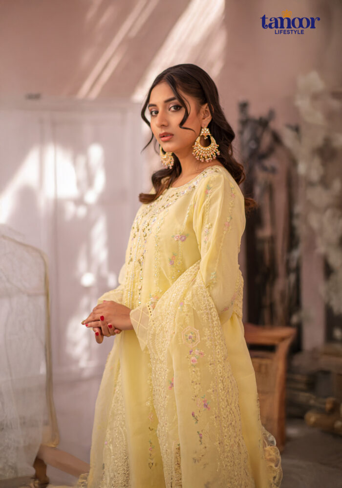 Pakistani Dress by Tanoor Lifestyle – Modest Fashion for Women