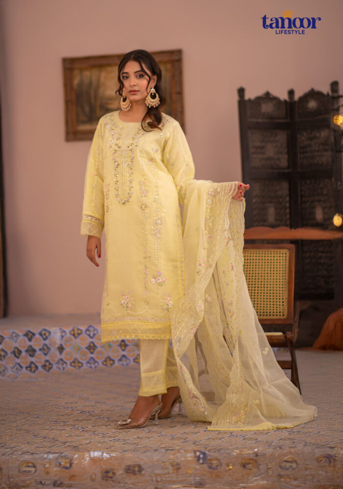Pakistani Dress by Tanoor Lifestyle – Modest Fashion for Women