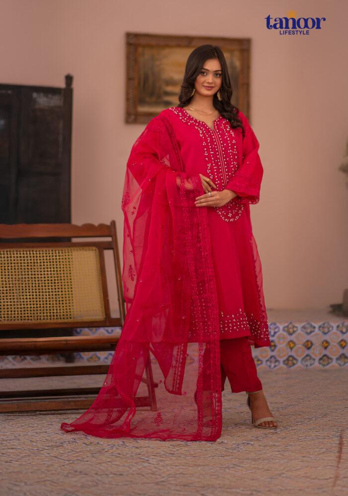 Pakistani Dress by Tanoor Lifestyle – Modest Fashion for Women
