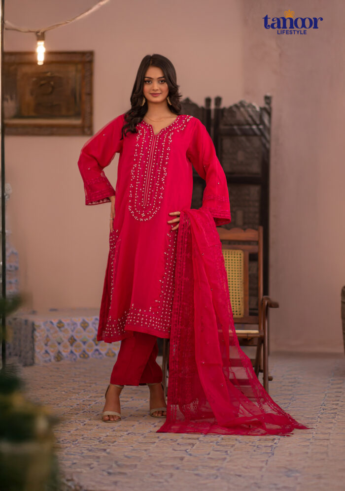Pakistani Dress by Tanoor Lifestyle – Modest Fashion for Women